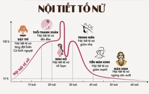 Suy Giảm Nội Tiết Tố Nữ Dấu Hiệu, Nguyên Nhân và Cách Điều Trị